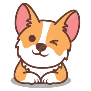 corgi1